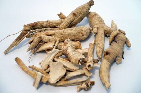 Raiz de ginseng para aumentar a potência
