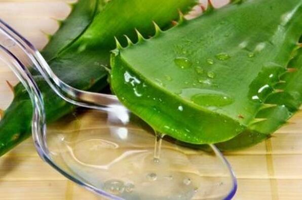 Suco de Aloe para ereções fortes